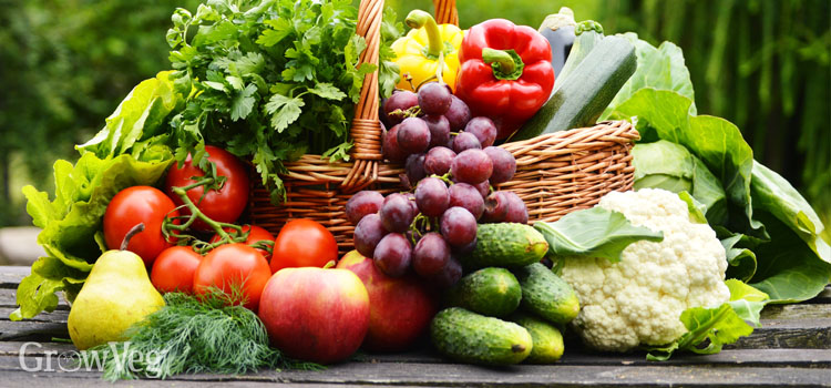 Vegetable basket